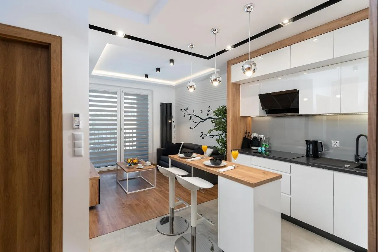 Comfort, Prestige, Best Location Romanowicza 1 Krakow Apartment