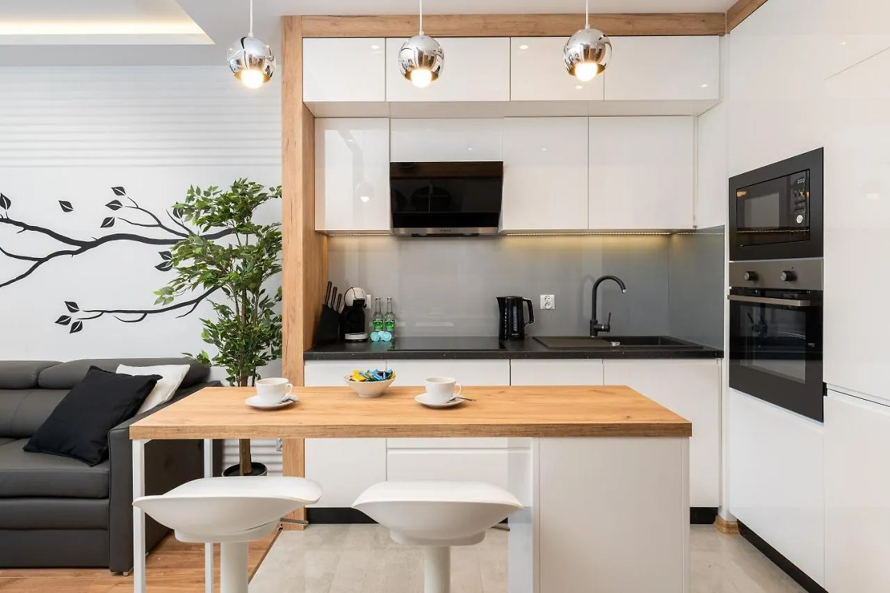 Apartment Comfort, Prestige, Best Location Romanowicza 1 Krakow Poland